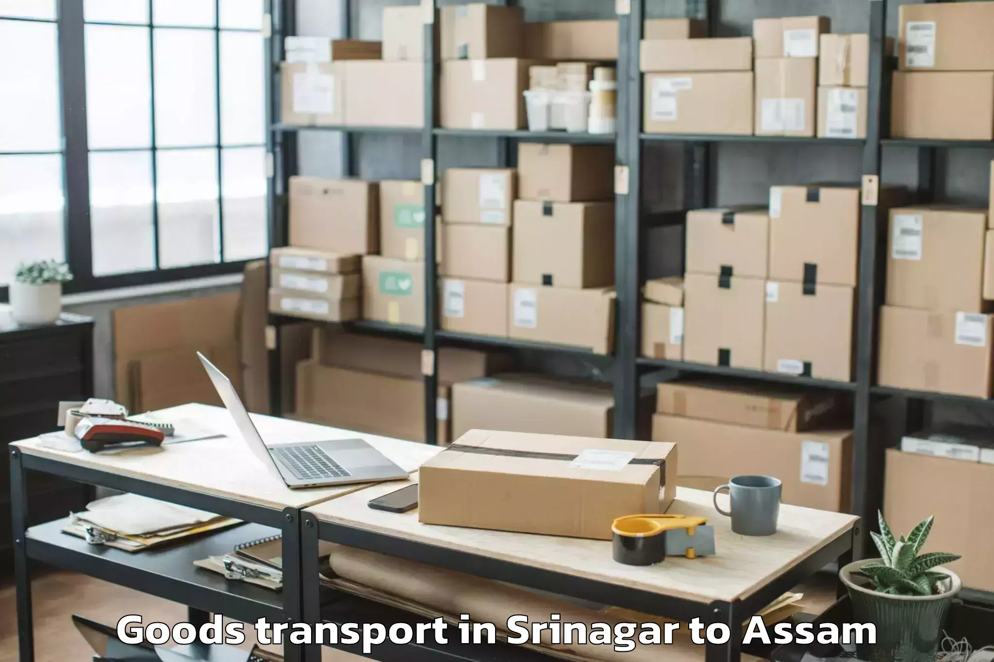 Book Your Srinagar to Likabali Goods Transport Today